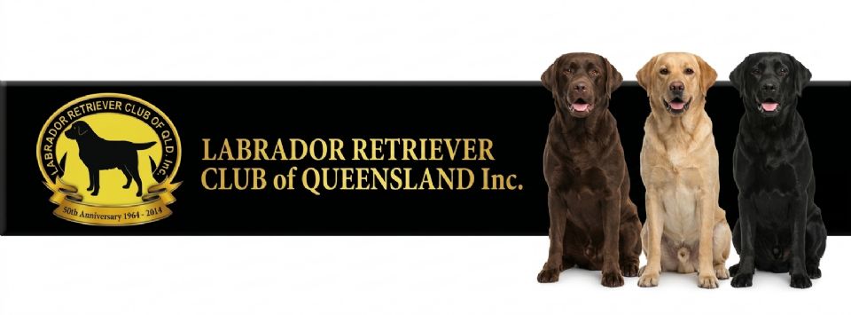 LABRADOR RETRIEVER CLUB of QUEENSLAND Inc.
